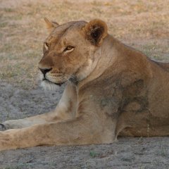 P9062538